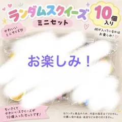 ランダムスクイーズ 10個セット ミニサイズ