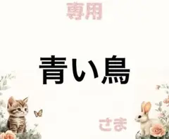 専用