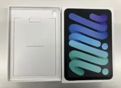 Apple iPad mini (A17Pro)箱、説明書のみ