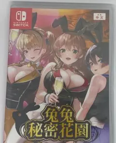 バニーガーデン テレビゲーム