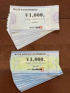 匿名配送 ビックカメラ コジマ 株主優待券 20000円