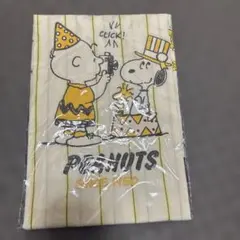 Item thumbnail for item a466803a-2295-4a92-a44a-65b9964bff31