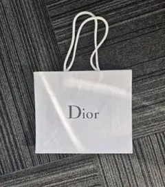 MICHAEL KORS COACH 保存袋 巾着袋 2枚 Dior1枚紙袋