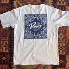 Item thumbnail for item 266e5059-2c52-4a6b-b91a-7e0a41727048