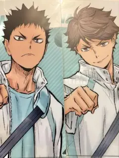 ハイキュー 及川徹 岩泉一 青城祭 2018 クリアファイル セット