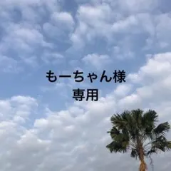 もーちゃん様 リクエスト 2点 まとめ商品