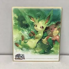 ポケモン　色紙　イーブイフレンズ　ブイズ　シークレット 2025年新作アイテムが続々登場 ポケモン シークレット ブイズ