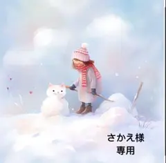 さかえ様 リクエスト 2点 まとめ商品