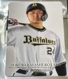 Item thumbnail for item 810ce55b-fdef-441c-8b5b-9a55b00242b8