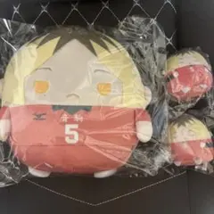 ハイキュー!! ぬいくじ 孤爪研磨 3点
