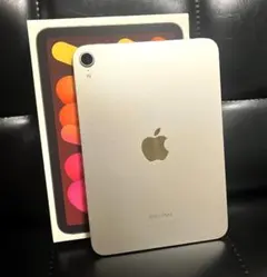 【美品】iPad mini(A17 Pro 第7世代) Wi-Fi 128GBのサムネイル