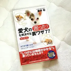 Item thumbnail for item e49d4682-8d0e-484b-8aba-4ba8dd08b6c3