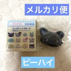 JO1 ジェオチャム JOCHUM シークレットブローチ ピーハイ