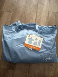 Item thumbnail for item 9c42c771-3a06-4726-8096-b6540c389188