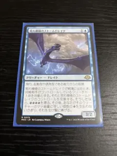 荒れ模様のストームドレイク