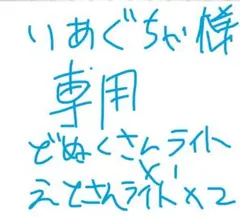 りあぐちゃ様専用