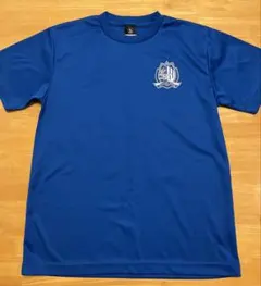 非売品　GOLDWIN カターレ富山　選手支給品　ジャージ上下　ブルー　L 非売品 GOLDWIN カターレ富山 選手支給品 ジャージ上下 ブルー L