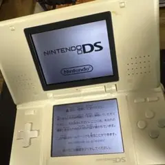 Nintendo DS ホワイト 本体とケース付き