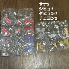 TWICE LOVELYS アクリルカラビナフロッキーマスコット ガシャポン