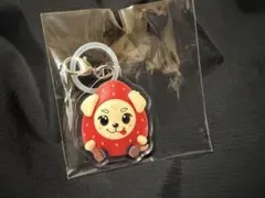 2026年最新】岩田剛典 ロッキー キーホルダーの人気アイテム - メルカリ