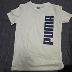 PUMA ホワイト Tシャツ Mサイズ