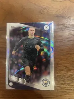 2026年最新】ハーランド toppsの人気アイテム - メルカリ