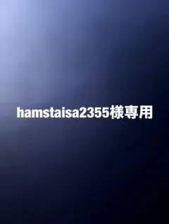 hamstaisa2355様専用