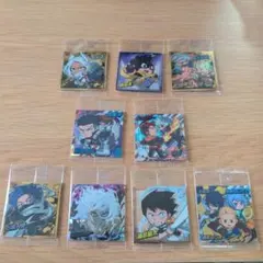 ヒロアカウエハース vol5