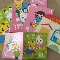 【こどもちゃれんじ】ぽけっと秋号(2.3歳向) 絵本3冊・DVD