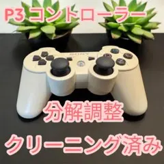 P3 コントローラー 分解調整 クリーニング済み