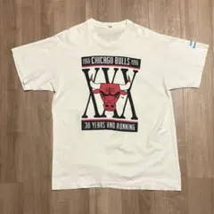 NBA シカゴブルズ ヴィンテージTシャツ