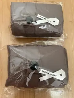 Item thumbnail for item 627ca391-60fc-4358-93e9-c8cdfb18685f