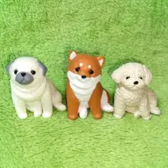 Item thumbnail for item 8eeebd1b-0854-4cb1-83bb-805702b4657e