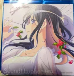 最終楽章 響け！ユーフォニアム前編劇場限定クリアファイル田中あすか