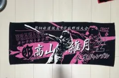 応援タオル 佐藤龍月 第96回選抜高等学校野球大会なー君様専用です