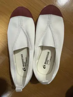 ムーンスター　4型　レッド　上靴　22センチ