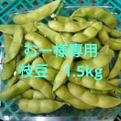 【むー様専用】枝豆　1.5kg　朝採り