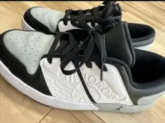 NIKE AiR Jordan メンズ 26cm