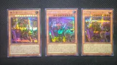 黄金郷エルドリッチ 絵違い　シク　3枚セット　【1539】のサムネイル