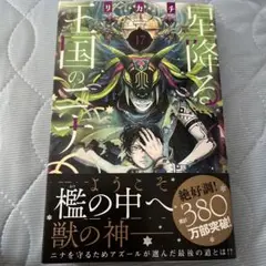 星降る王国のニナ(17)