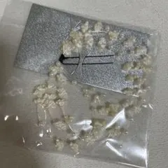 Item thumbnail for item 2acf80bc-a120-4104-b78b-f8521795ed33