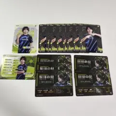 IJLカード mkmldy