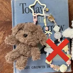 allisonbrown チャーム2点セット allisonbrown チャーム2点セット - メルカリ