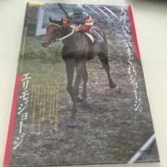 JRA ヒーロー列伝　クリアファイル エリモジョージ　非売品のサムネイル