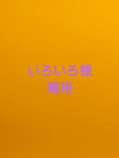 いろいろ様 リクエスト 2点 まとめ商品