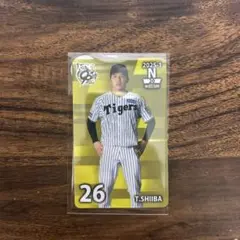 2025年最新】オンサイトカード 阪神の人気アイテム - メルカリ