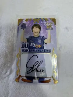 Item thumbnail for item 5fa1fa1a-d7d6-40d0-891d-bd8c50896986