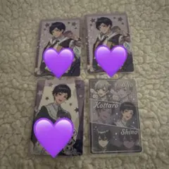 【未使用品】VOISINGチップス こったろ 4枚セット