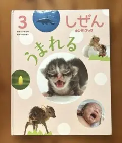 2025年最新】しぜん キンダーブック 2023の人気アイテム - メルカリ
