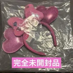 完全未開封タグ付_ミニパル　ミニーのファンダーランド　カチューシャ　パルパルーザ